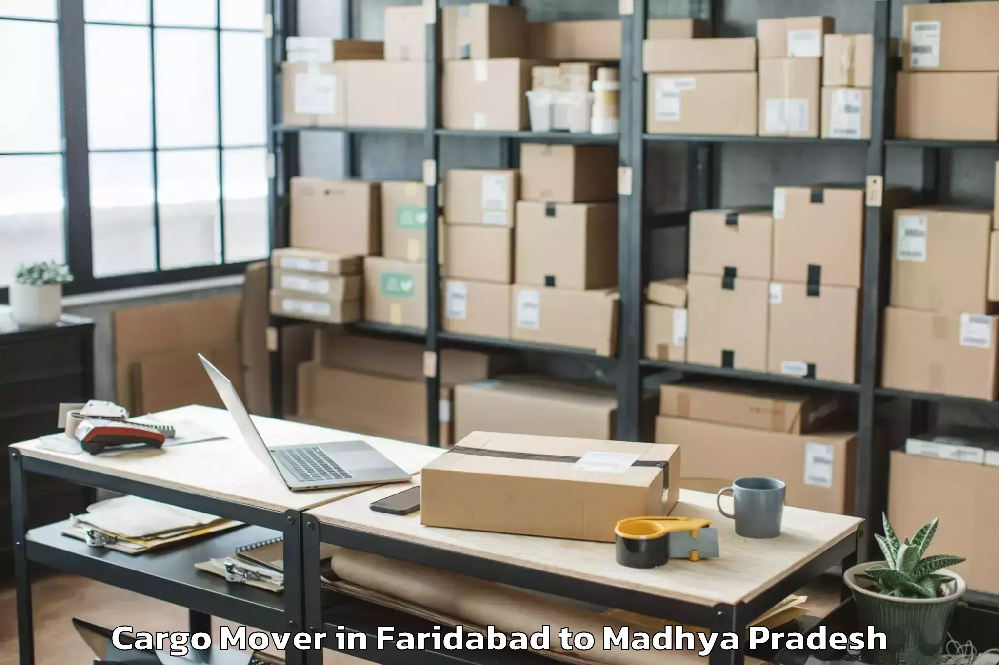 Easy Faridabad to Dhar Cargo Mover Booking